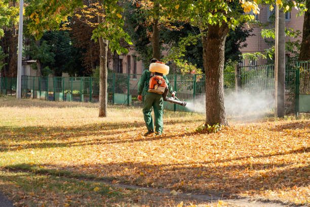 Reliable French Lick, IN Pest Control Solutions