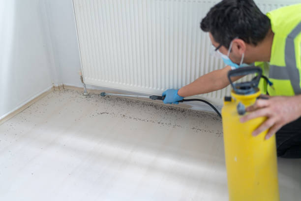 Best Wasp Removal Services  in French Lick, IN